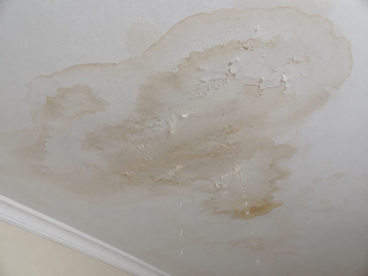 Apartment block evacuated after major water leak